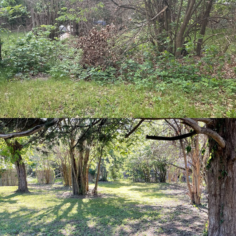 Campos Lawncare Service